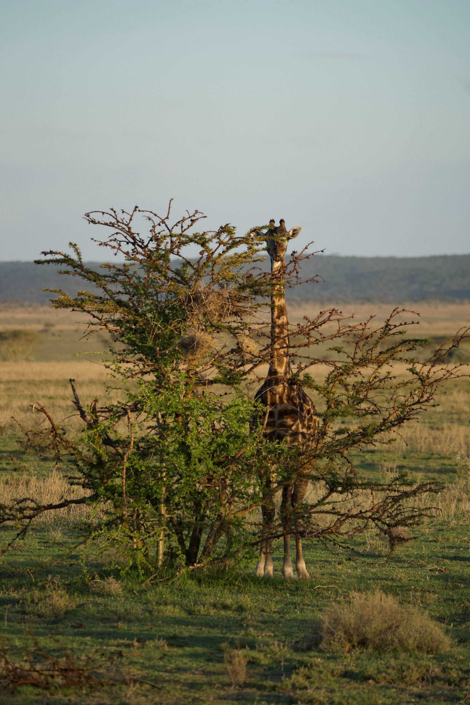 Top 5 Wedding Venues in Waterloo, CA